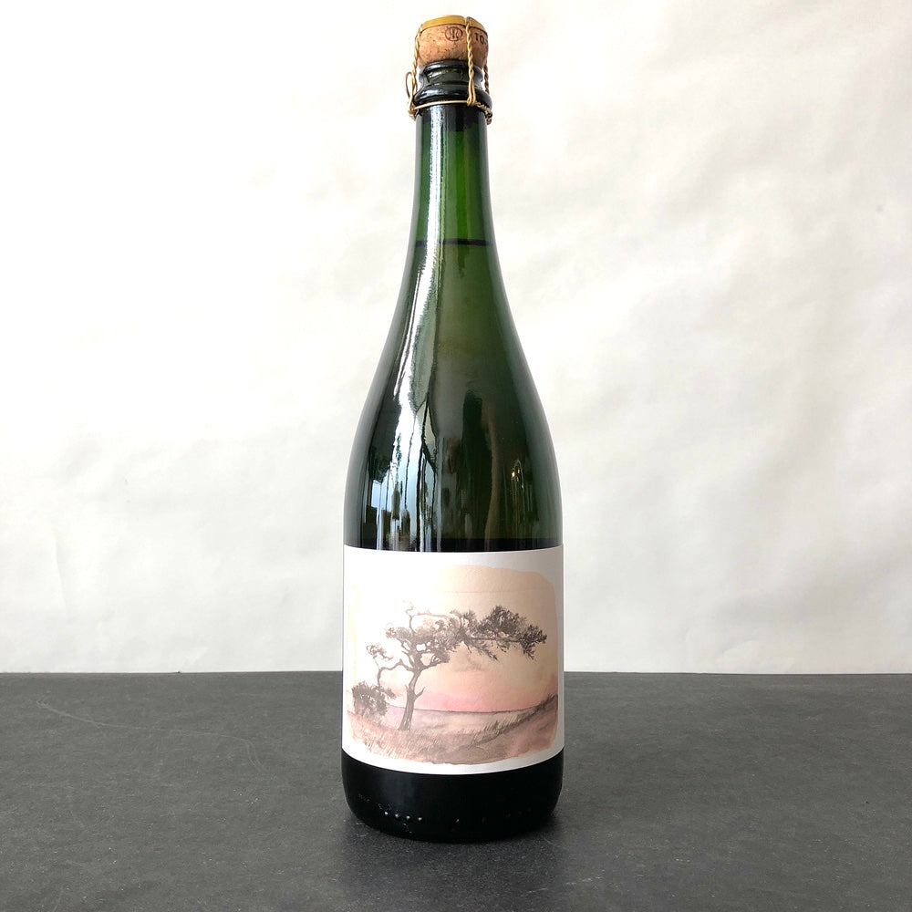 2023 Alma Fria Plural Sparkling Rose of Pinot Noir, Sonoma Coast