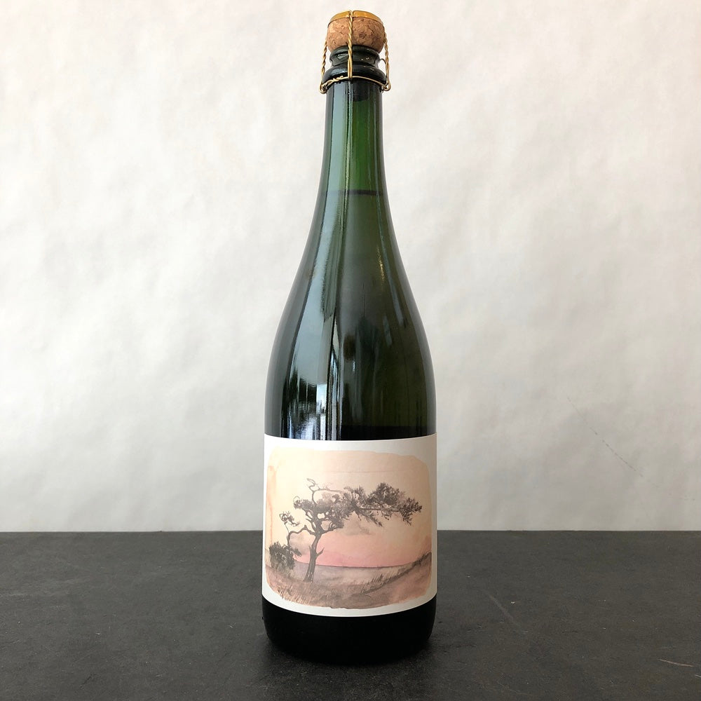 2023 Alma Fria Plural Sparkling Rose of Pinot Noir, Sonoma Coast
