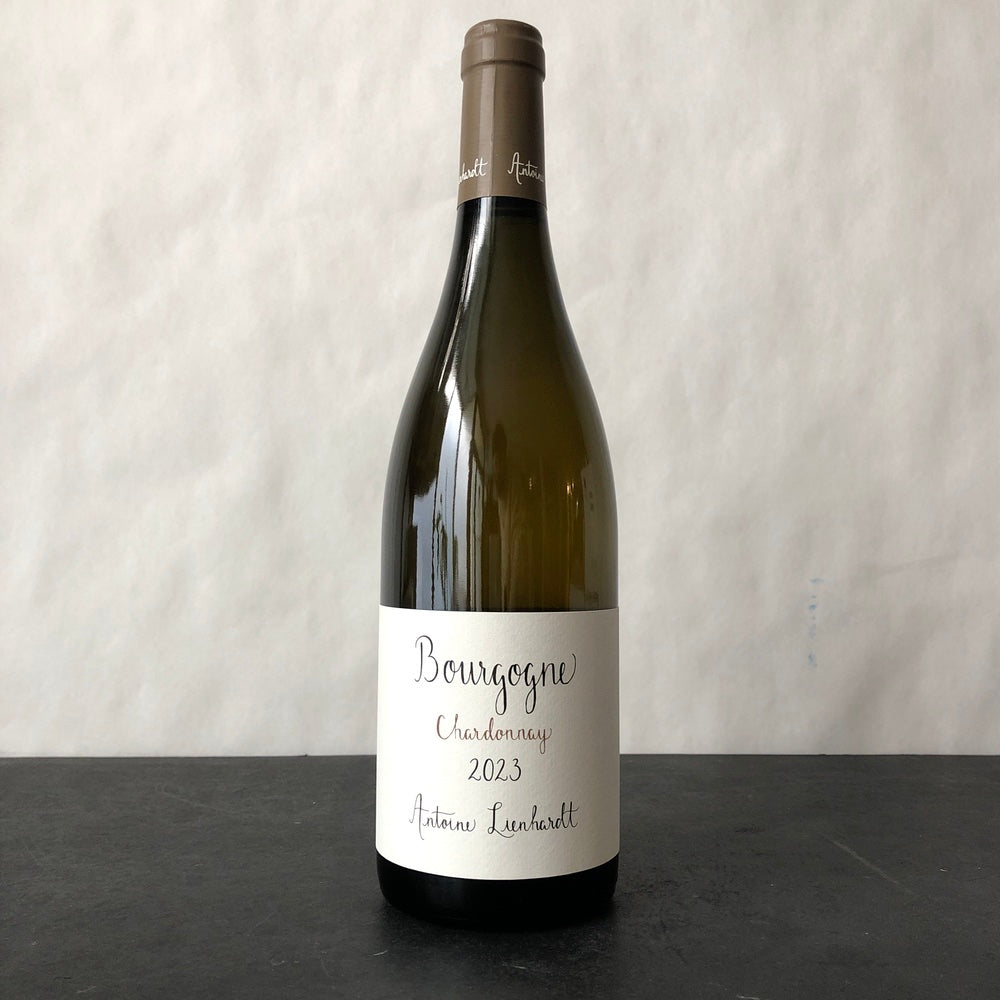 2023 Antoine Lienhardt Bourgogne Chardonnay, Burgundy, France