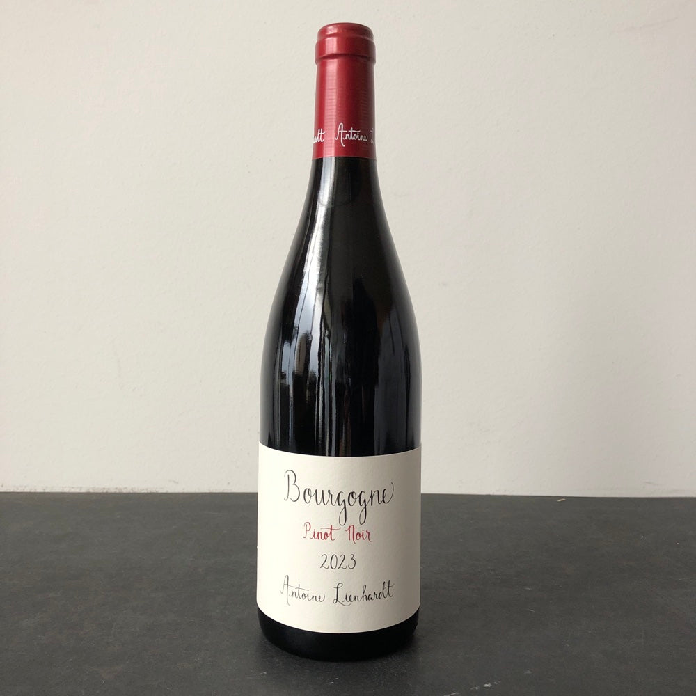 2023 Antoine Lienhardt Bourgogne Pinot Noir