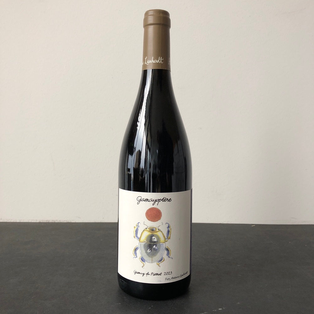 2023 Antoine Lienhardt Coteaux Bourguignons "Gamayoptere", Burgundy, France