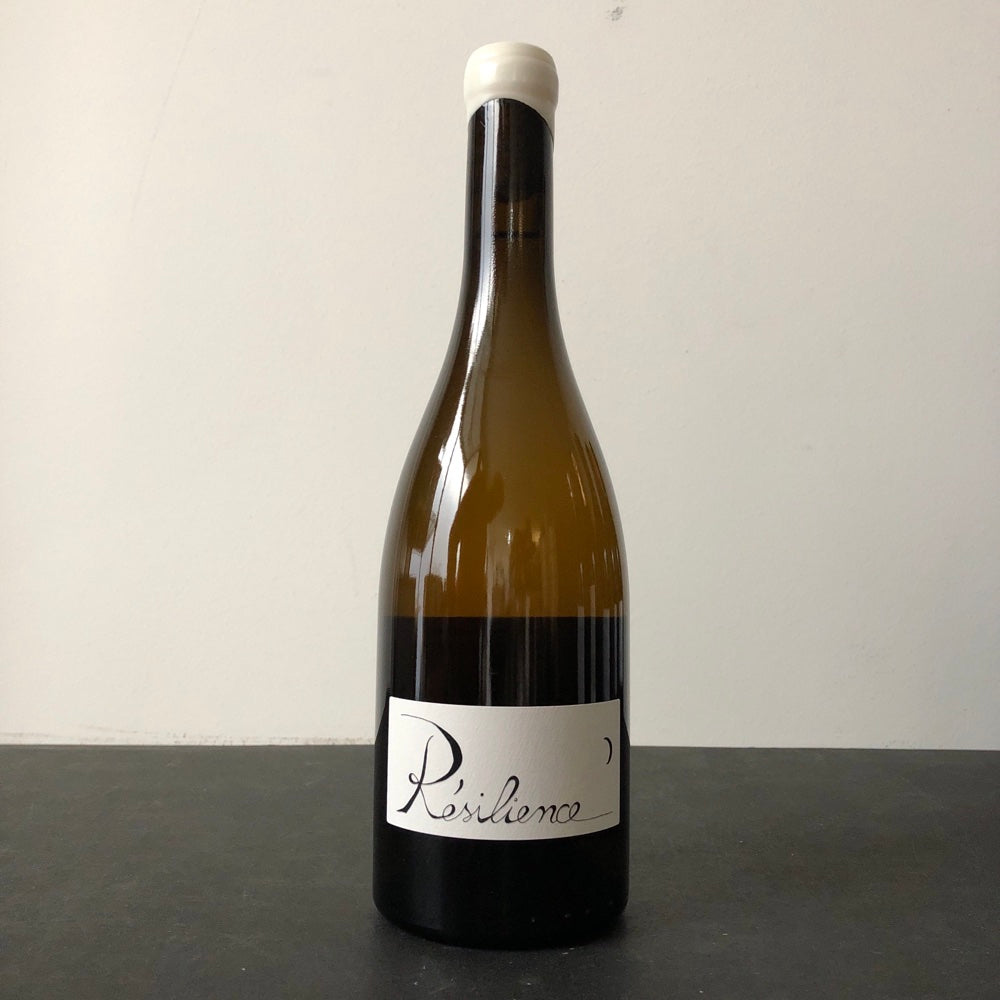 2023 Domaine Partage Gilles Berlioz Resilience, Savoie Chignin-Bergeron, France