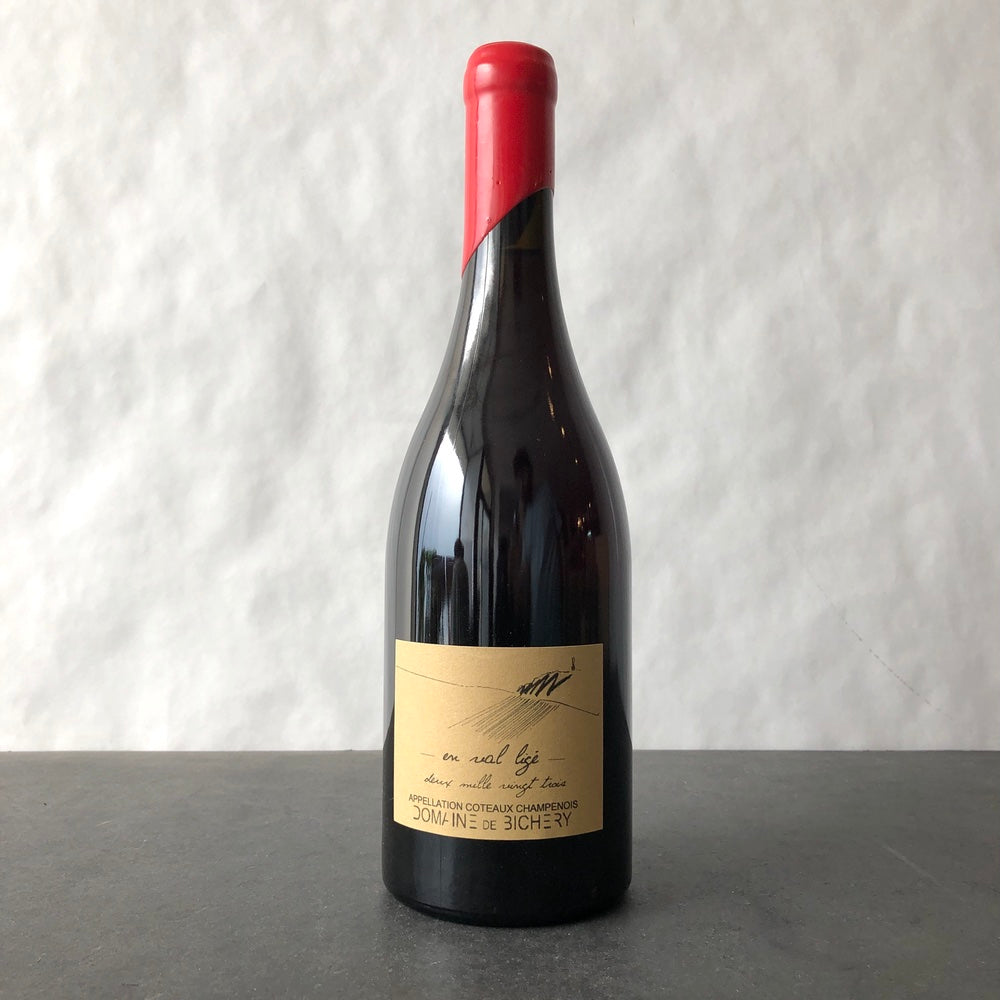 2023 Domaine de Bichery 'En Val Lige' Coteaux Champenois Champagne, France