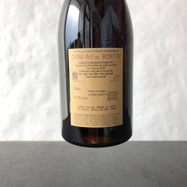 2023 Domaine de Bichery 'En Val Lige' Coteaux Champenois Champagne, France