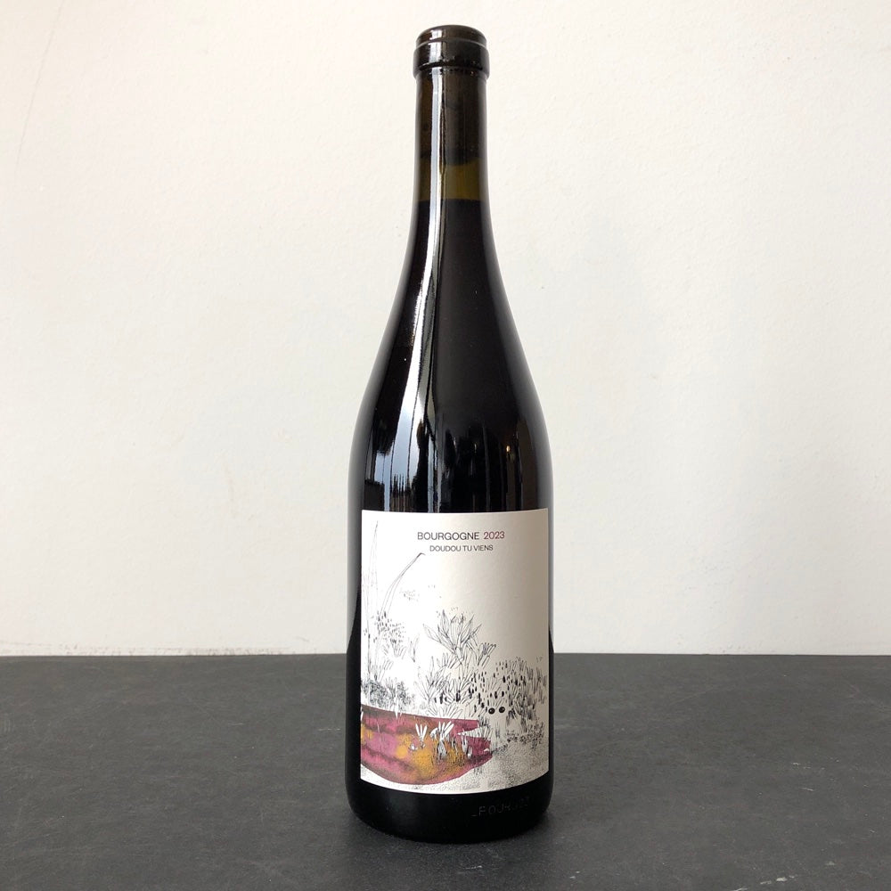 2023 Icy Liu 'Bourgogne Doudou Tu Viens', Burgundy, France