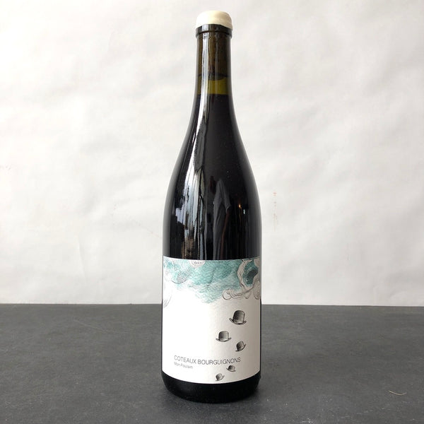 2023 Les Horées Coteaux Bourguignons Monpoulain, Burgundy, France