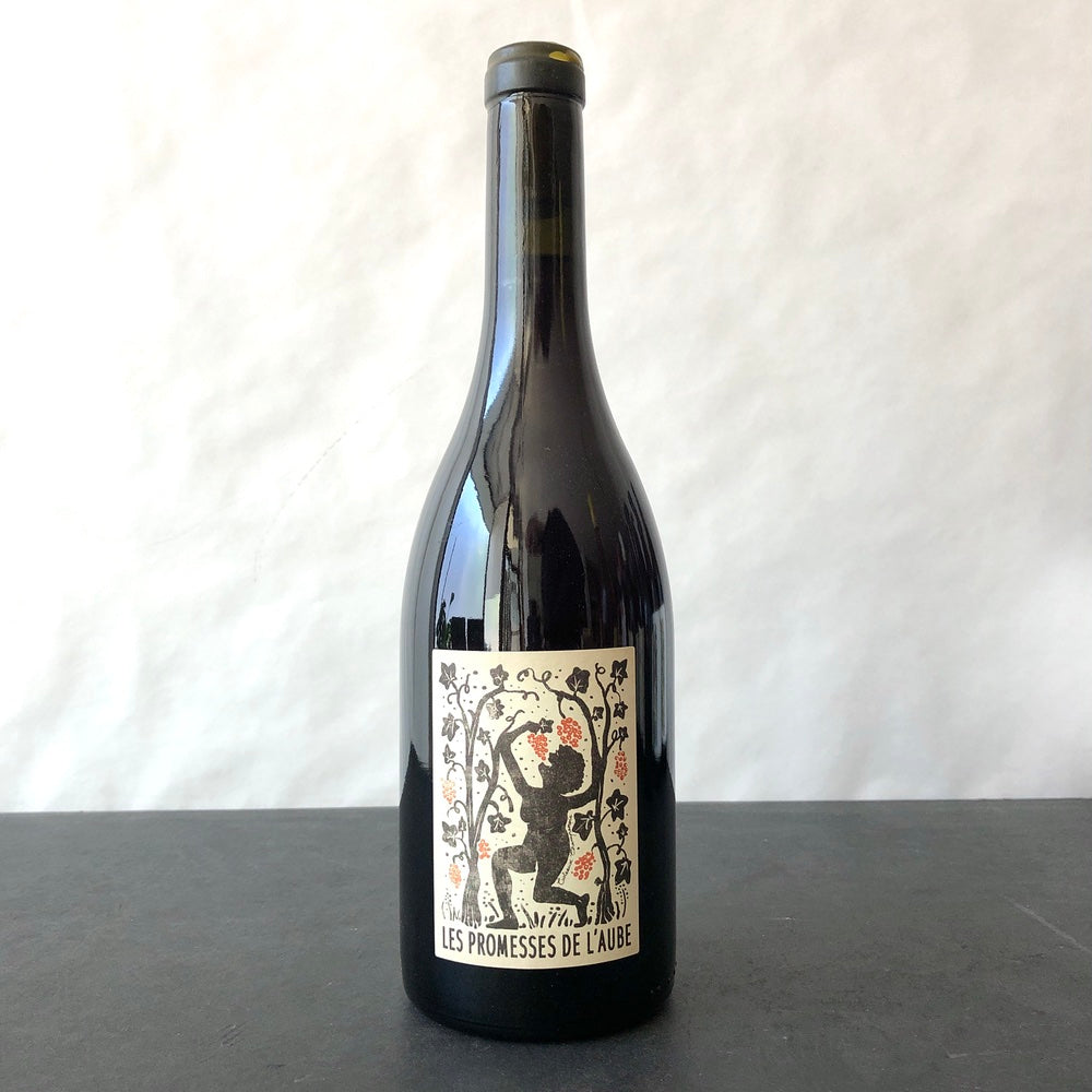 2023 Salima et Alain Cordeuil 'Les Promesses de L'Aube' Coteaux Champenois Rouge, Champagne, France