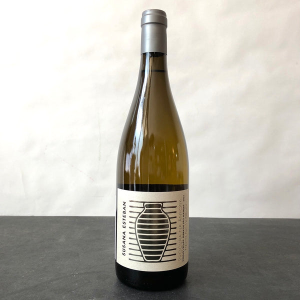 2023 Susana Esteban 'Procura' Na Anfora Branco Vinho Regional Alentejano, Portugal