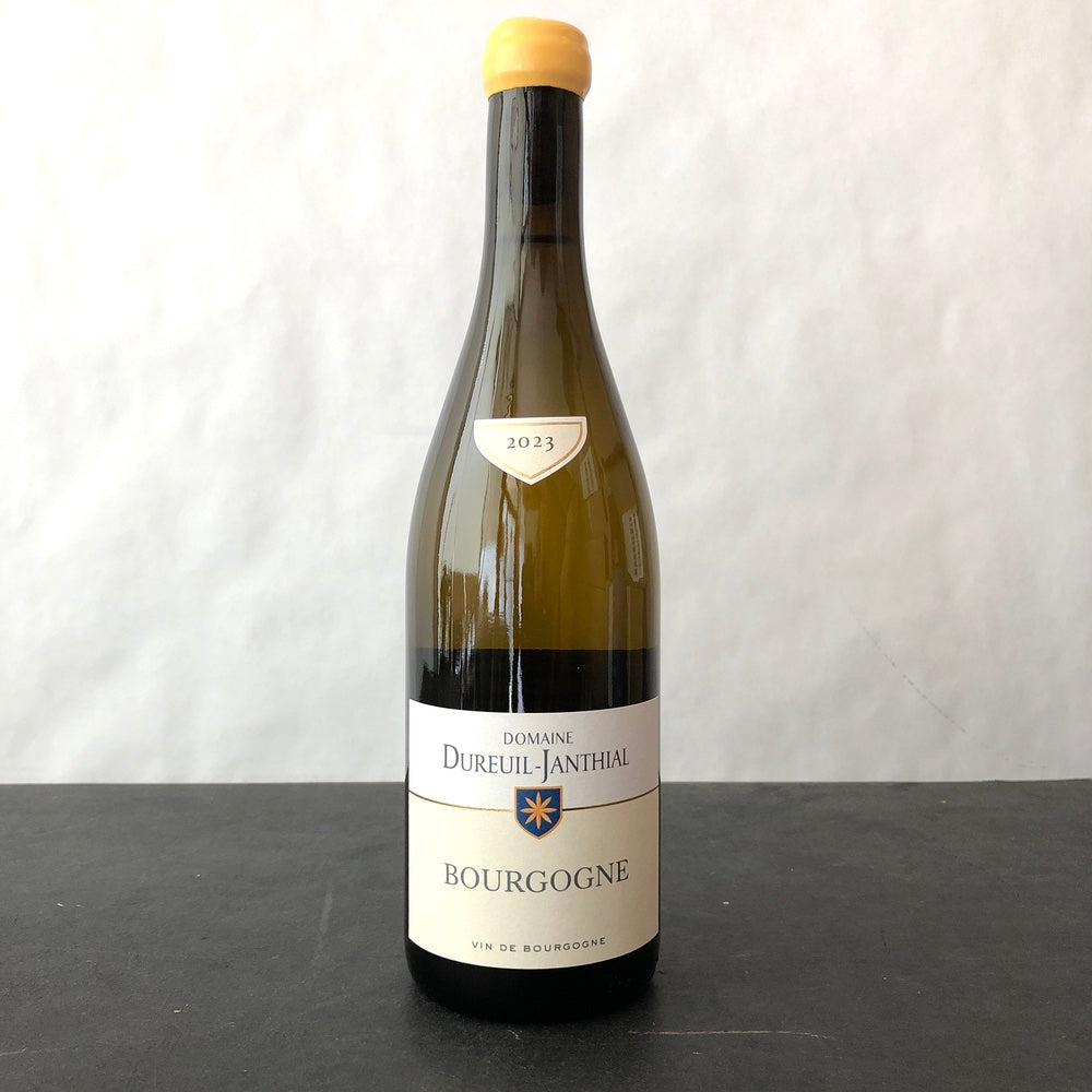 2023 Vincent Dureuil-Janthial Bourgogne Blanc, Burgundy, France