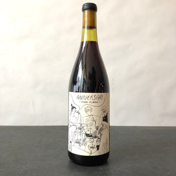 2023 Vinos Pijoan 'Aniversari' Guadalupe Red, Mexico