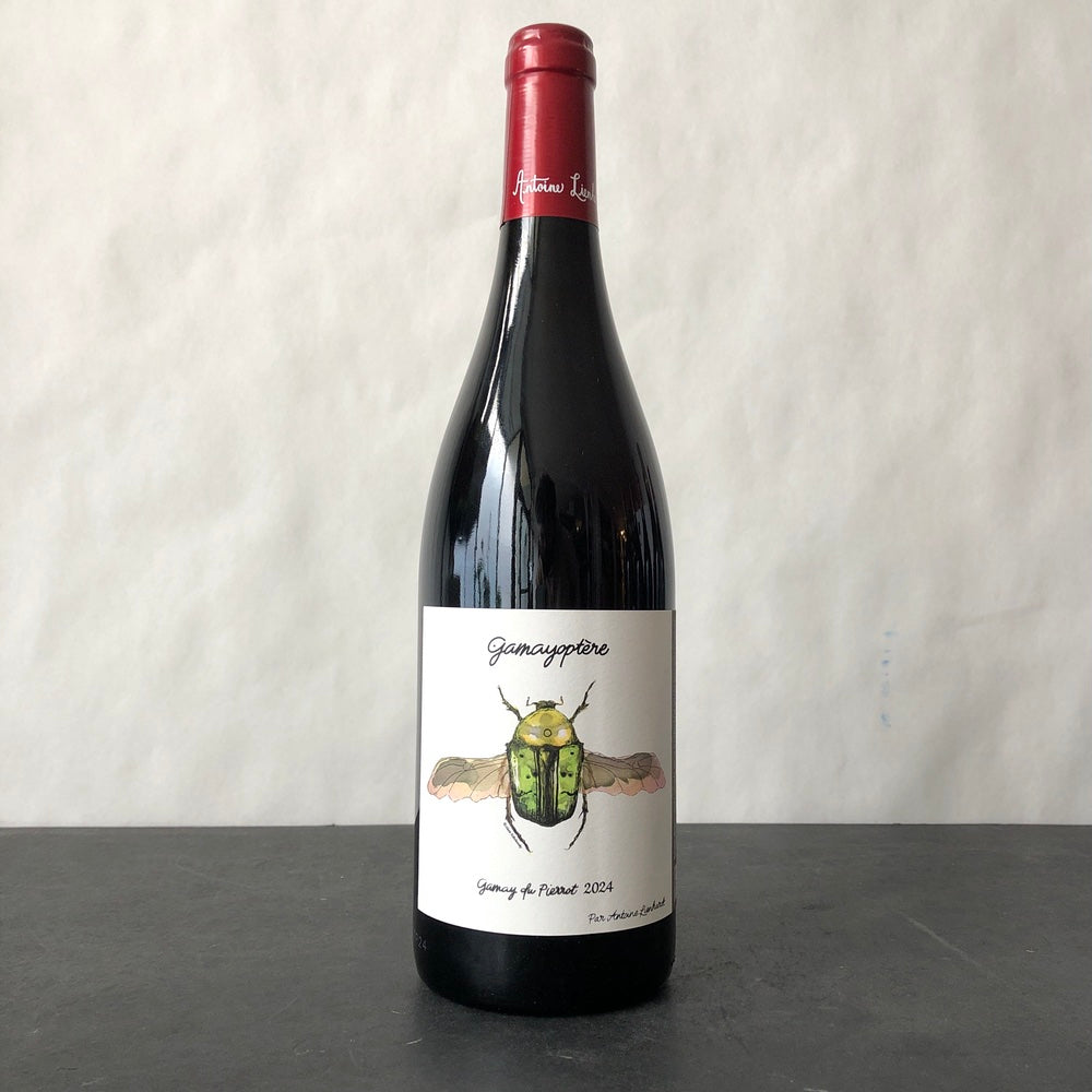 2024 Antoine Lienhardt Coteaux Bourguignons "Gamayoptere", Burgundy, France