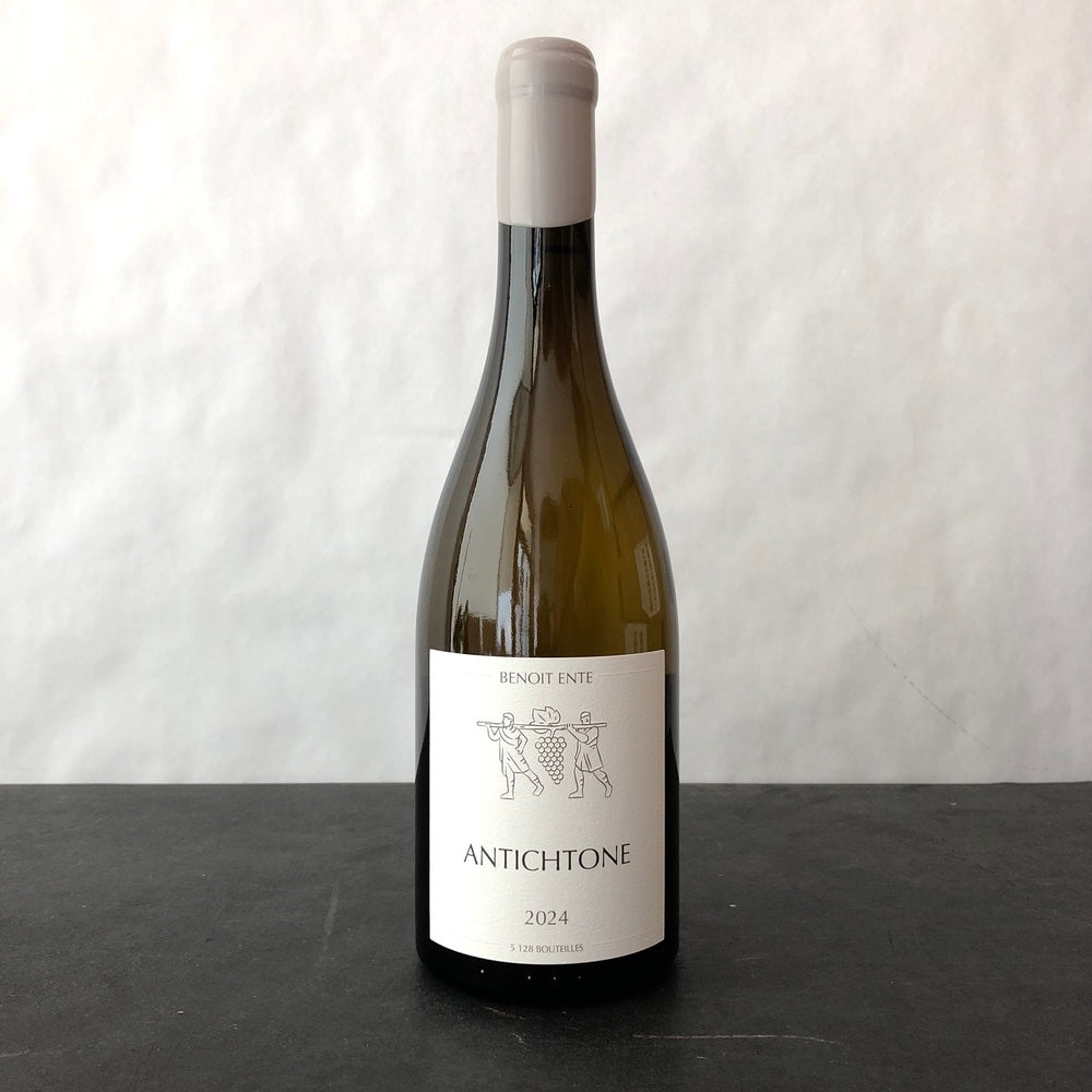 2024 Benoit Ente Bourgogne Aligote 'Antichtone', Burgundy, France