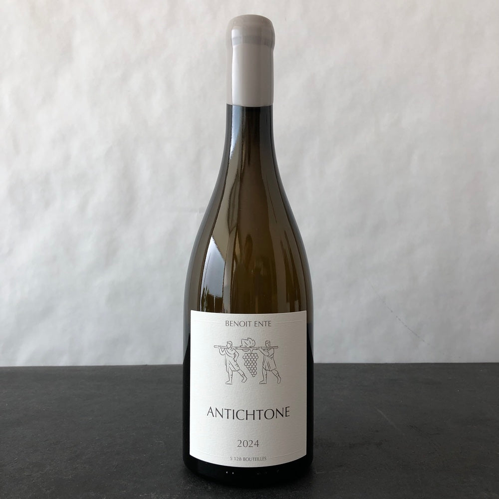 2024 Benoit Ente Bourgogne Aligote 'Antichtone', Burgundy, France
