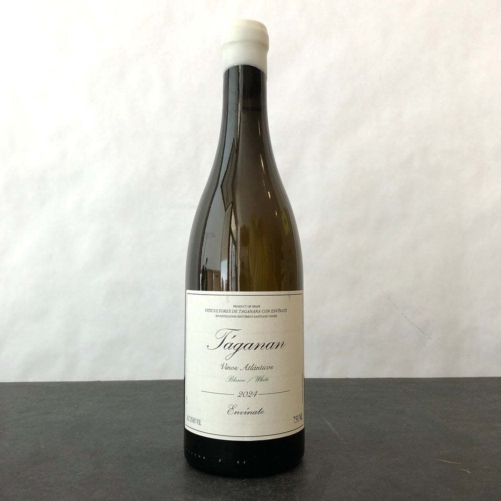 2024 Envinate, Taganan Blanco, Tenerife, Spain