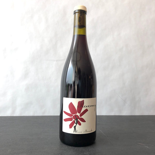 2024 Herve Villemade Cheverny Rouge Loire, France