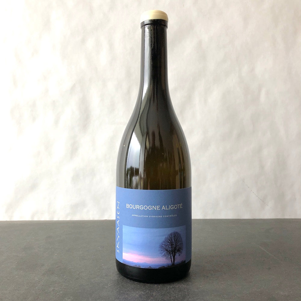 2024 Maison Skyaasen, Bourgogne Aligote, Burgundy, France