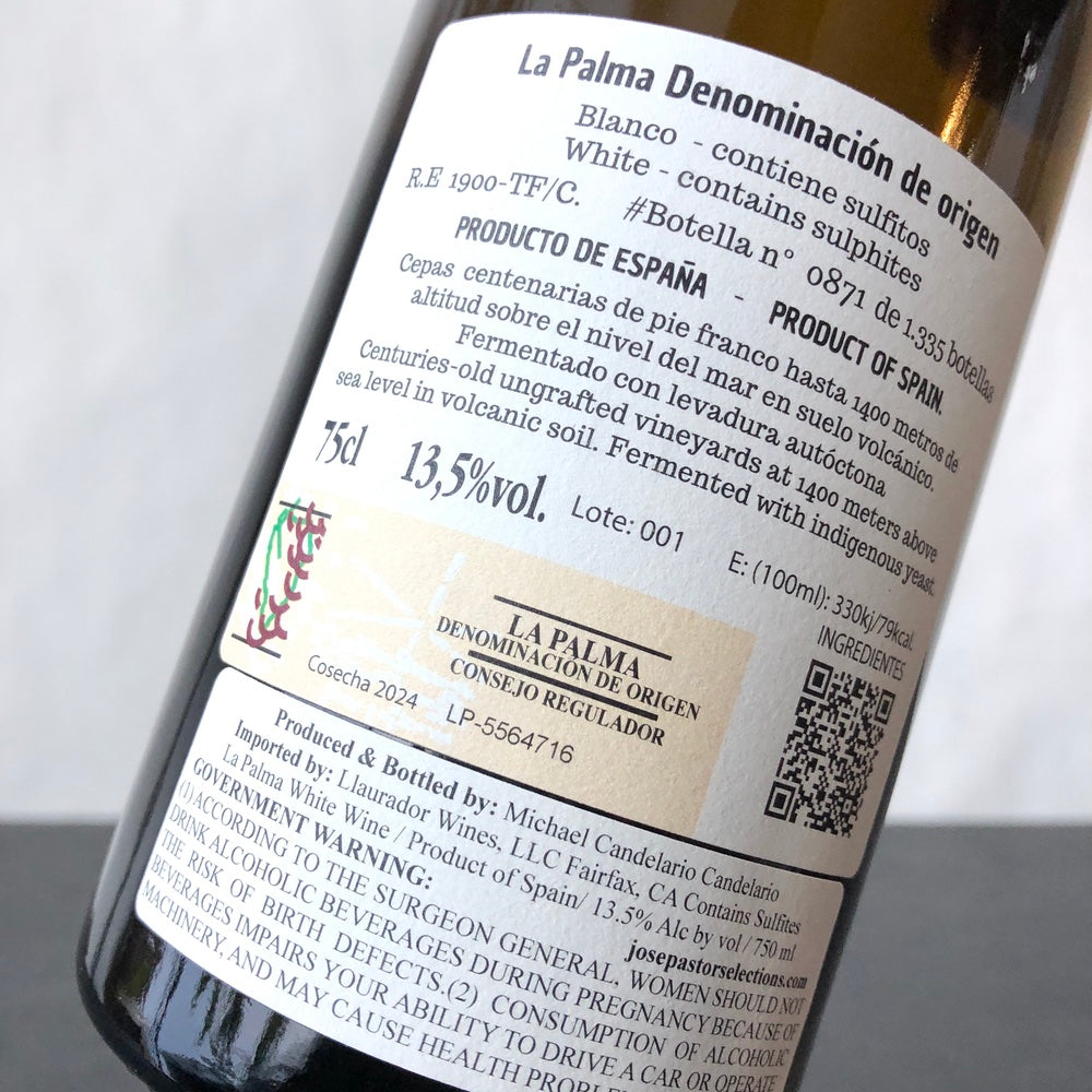 2024 Michael Candelario Blanco Canary Islands, Spain