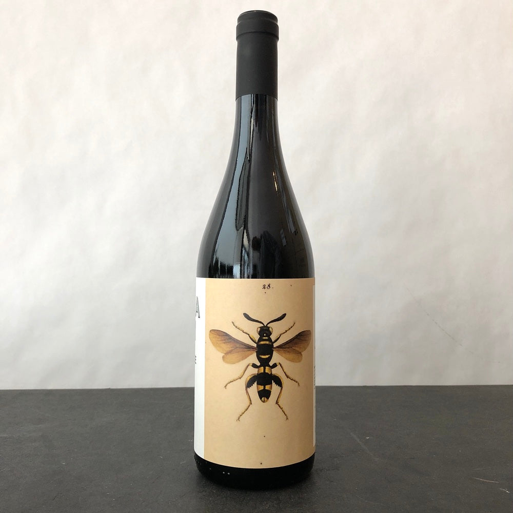 2024 Noelia Ricci Il Sangiovese di Romagna, Emilia-Romagna, Italy