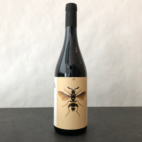 2024 Noelia Ricci Il Sangiovese di Romagna, Emilia-Romagna, Italy