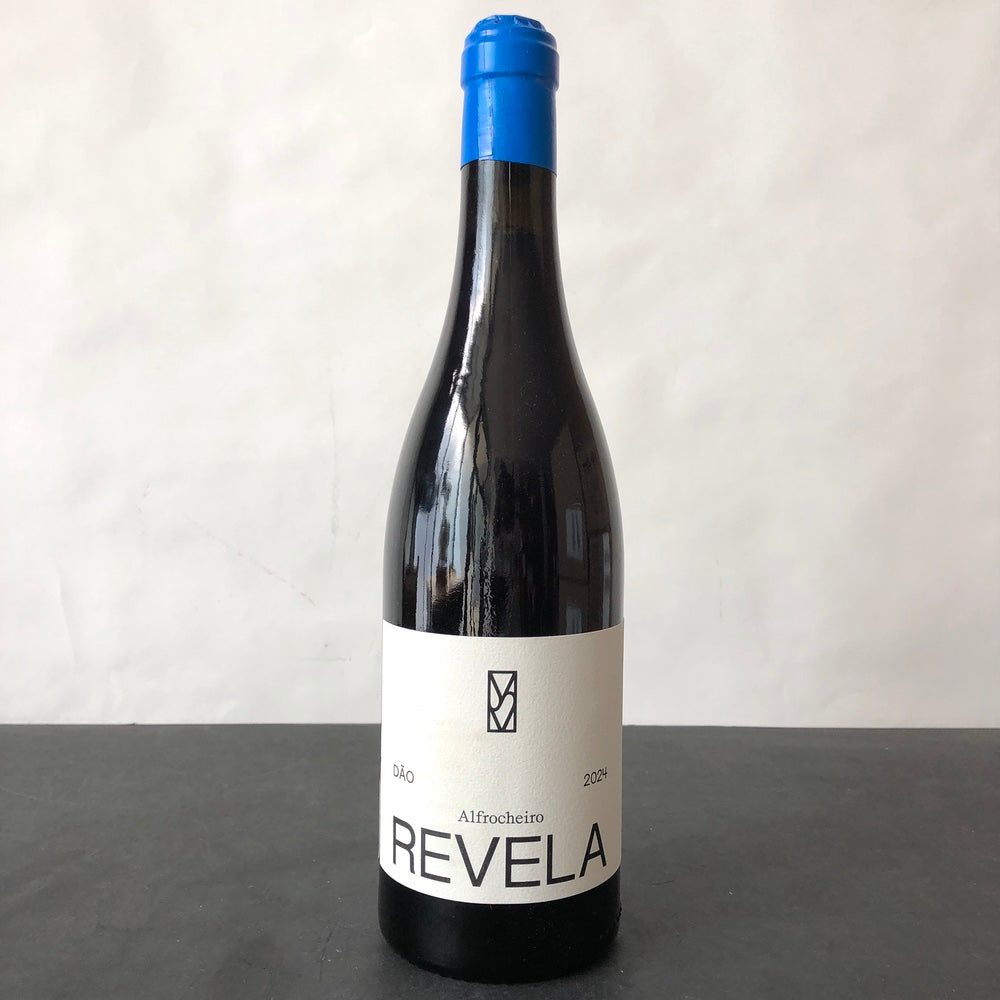 2024 Revela [Mariana Salvador] Alfrocheiro, Dão, Portugal
