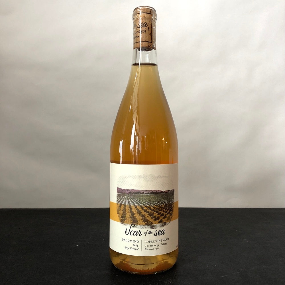 2024 Scar of the Sea Lopez Vineyard Palomino Cucamonga Valley, USA