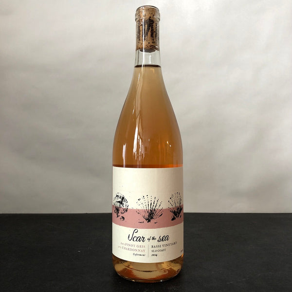 2024 Scar of the Sea, Pinot Gris/Chardonnay Coferment, Bassi Vineyard San Luis Obispo Coast, California