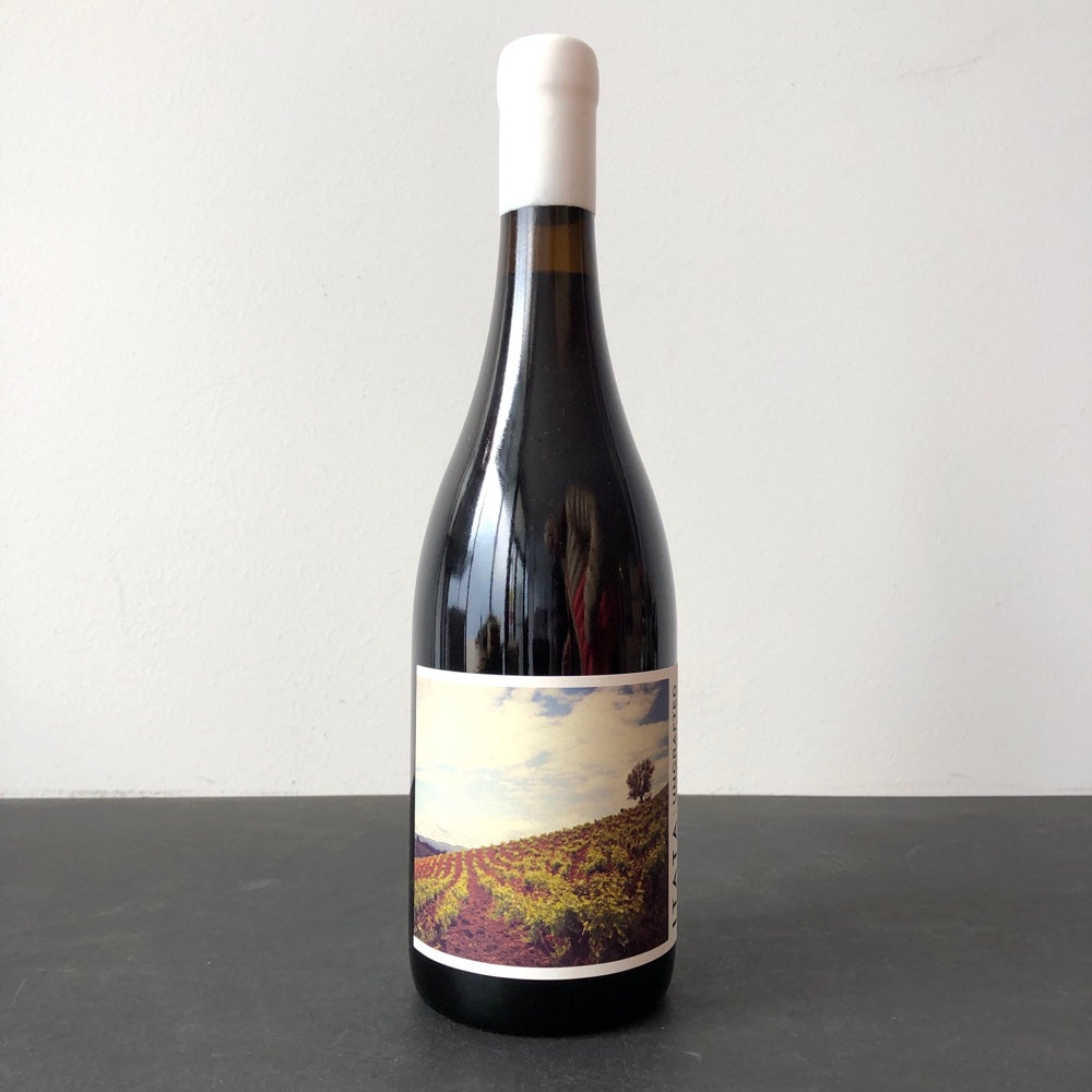 2024 Ungrafted Cinsault, Itata Valley, Chile