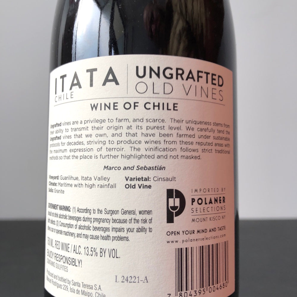2024 Ungrafted Cinsault, Itata Valley, Chile – Leon & Son Wine and