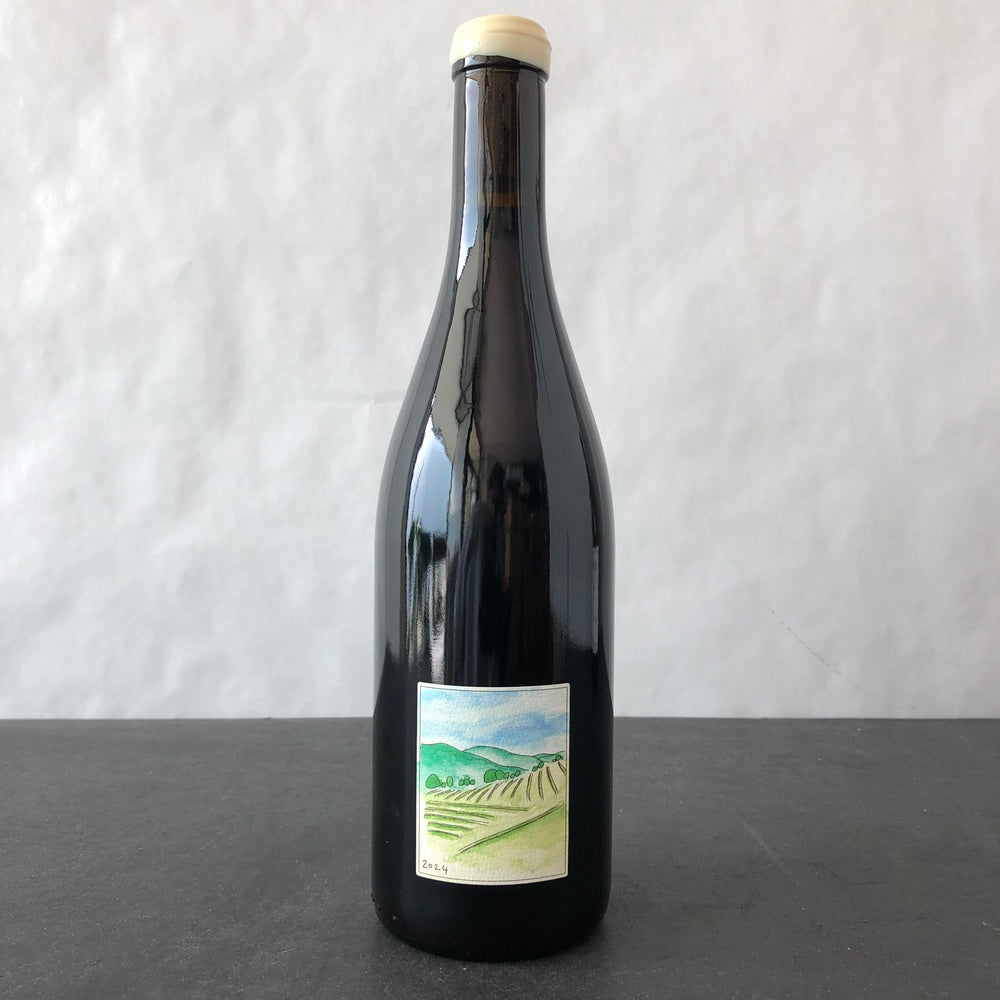 2024 Wills Wine Syrah VDF, France