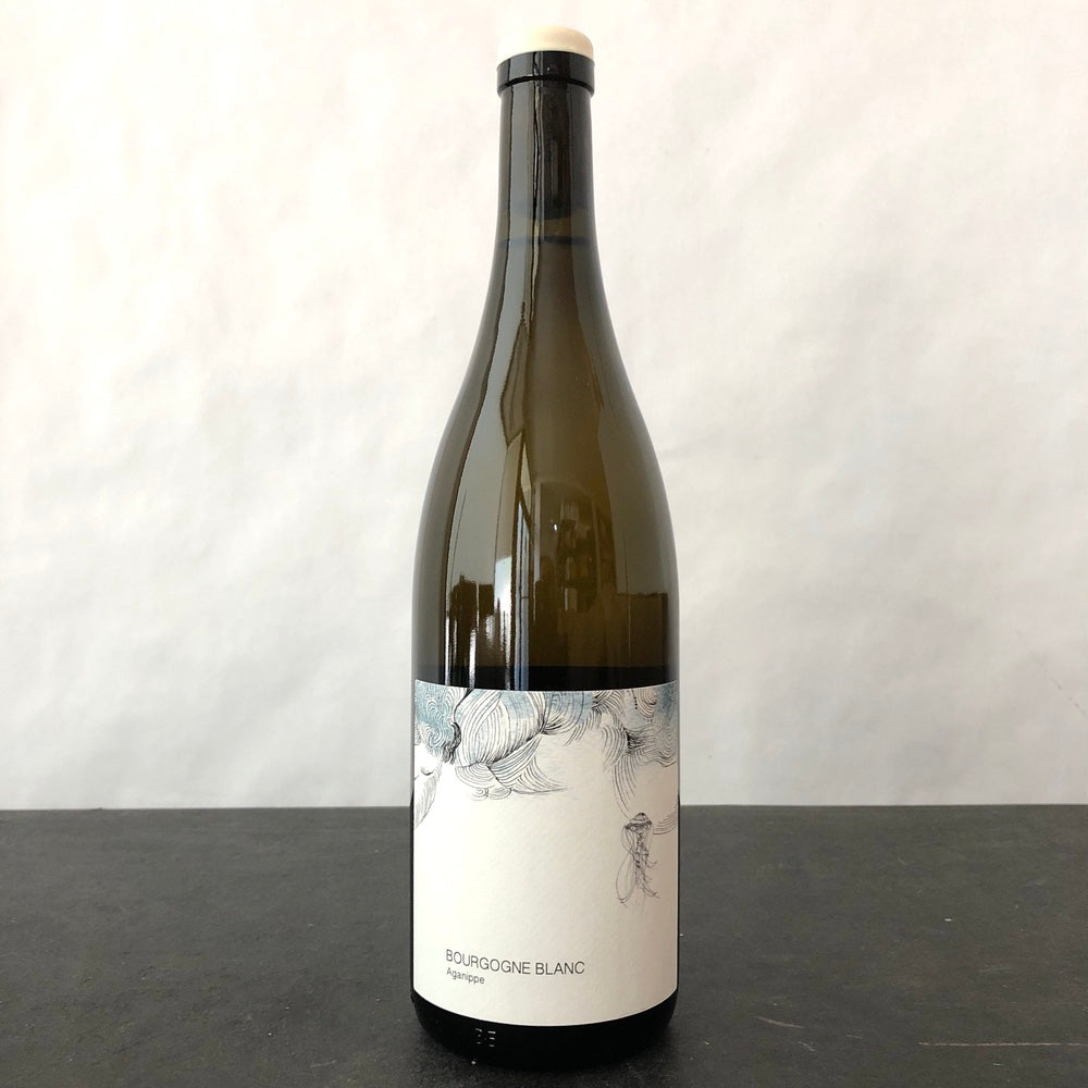 2025 Les Horees Bourgogne Aganippe Blanc, Burgundy, France
