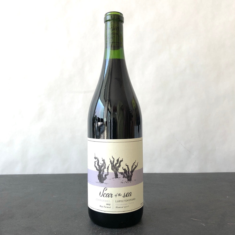 2025 Scar of the Sea Old Vine' Zinfandel, Lopez Vineyard Cucamonga Valley, USA