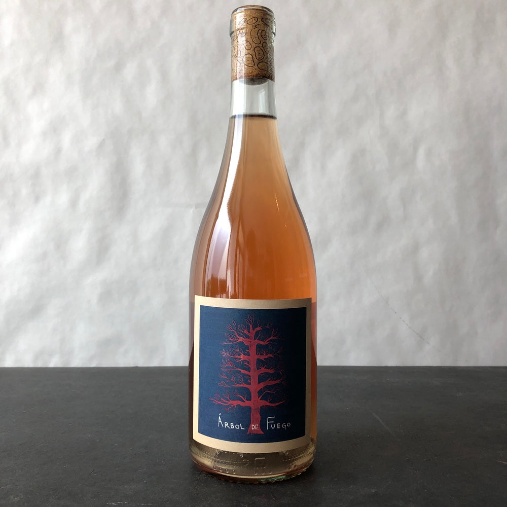 2025 Vinos Pijoan 'Arbol de Fuego' Valle de Guadalupe Rosé, Mexico