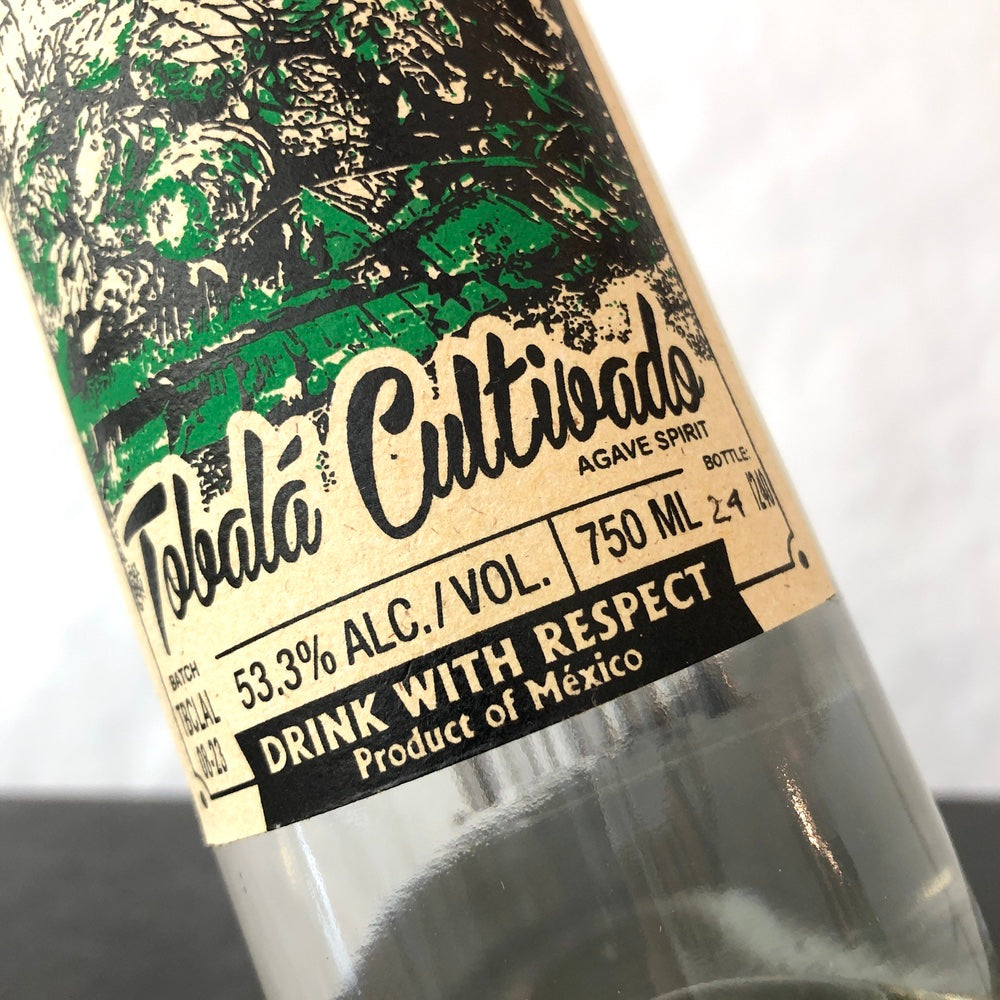 5 Sentidos (Alberto Martinez) Tobala Oaxaca, Mexico