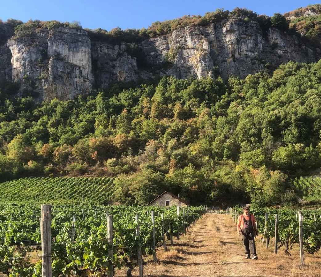 Welcoming Domaine Bärtschi