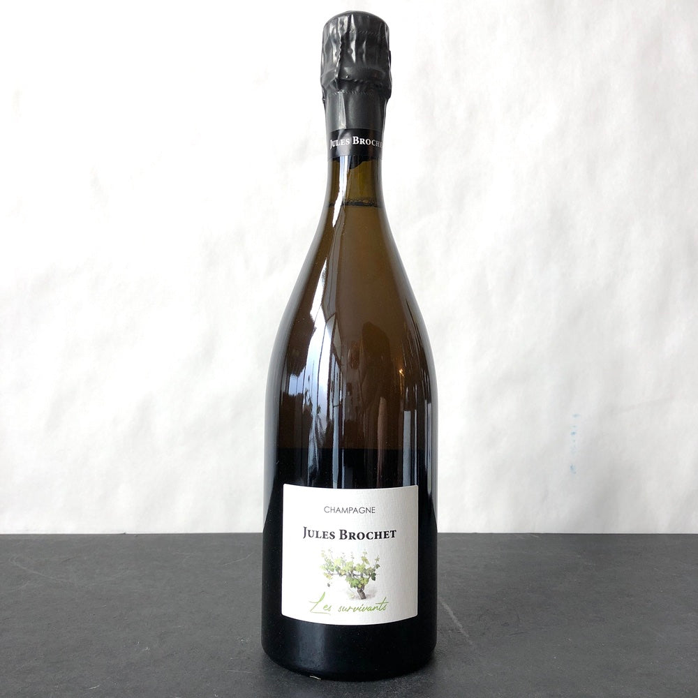 Jules Brochet 'Les Survivants' Brut, Champagne, France (2021)