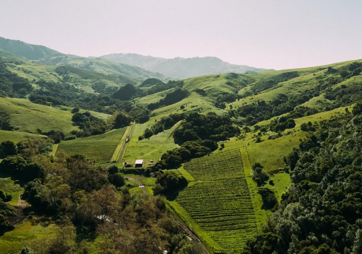 Rajat Parr's Phelan Farm