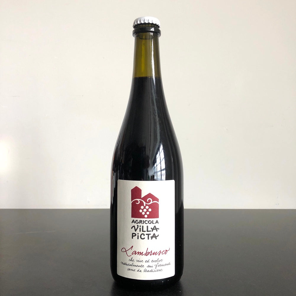 2021 Villa Picta Lambrusco Mantovano Lombardy, Italy