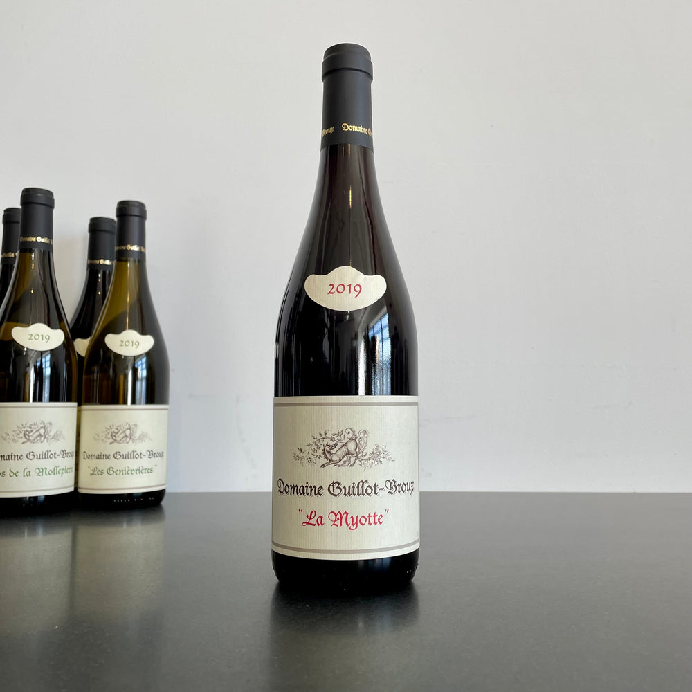 2019 Domaine Guillot-Broux Bourgogne Rouge La Myotte Burgundy, France