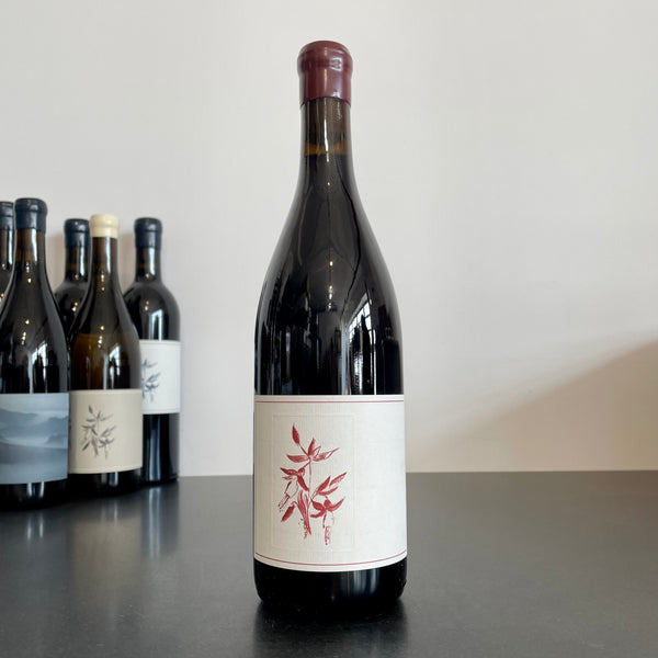 2019 Arnot-Roberts 'Que Syrah Vineyard' Syrah Sonoma Coast, USA