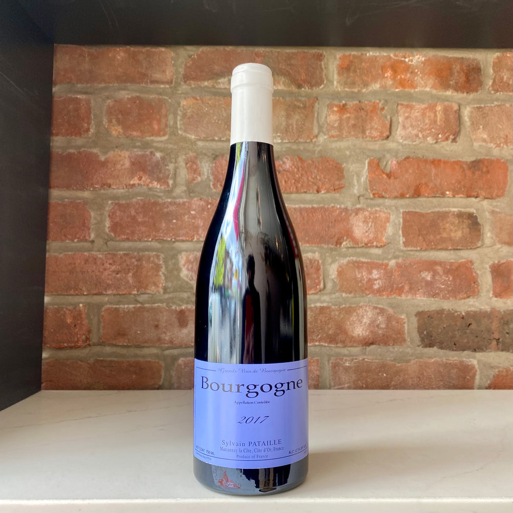 2019 Domaine Sylvain Pataille Bourgogne Rouge, Burgundy, France