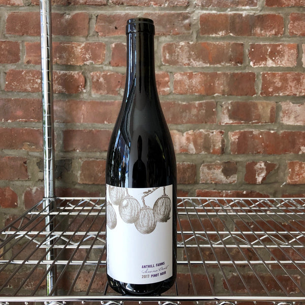 2018 Anthill Farms Sonoma Coast Pinot Noir, Sonoma County, USA