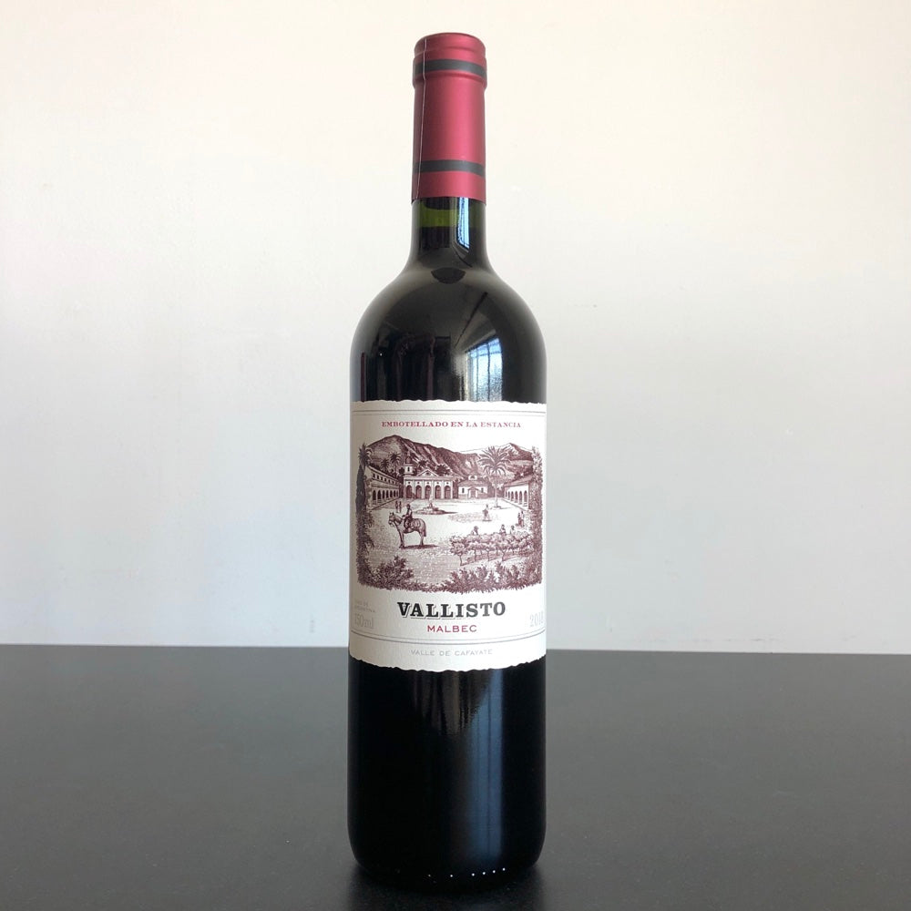 2019 Vallisto Malbec, Cafayate, Argentina